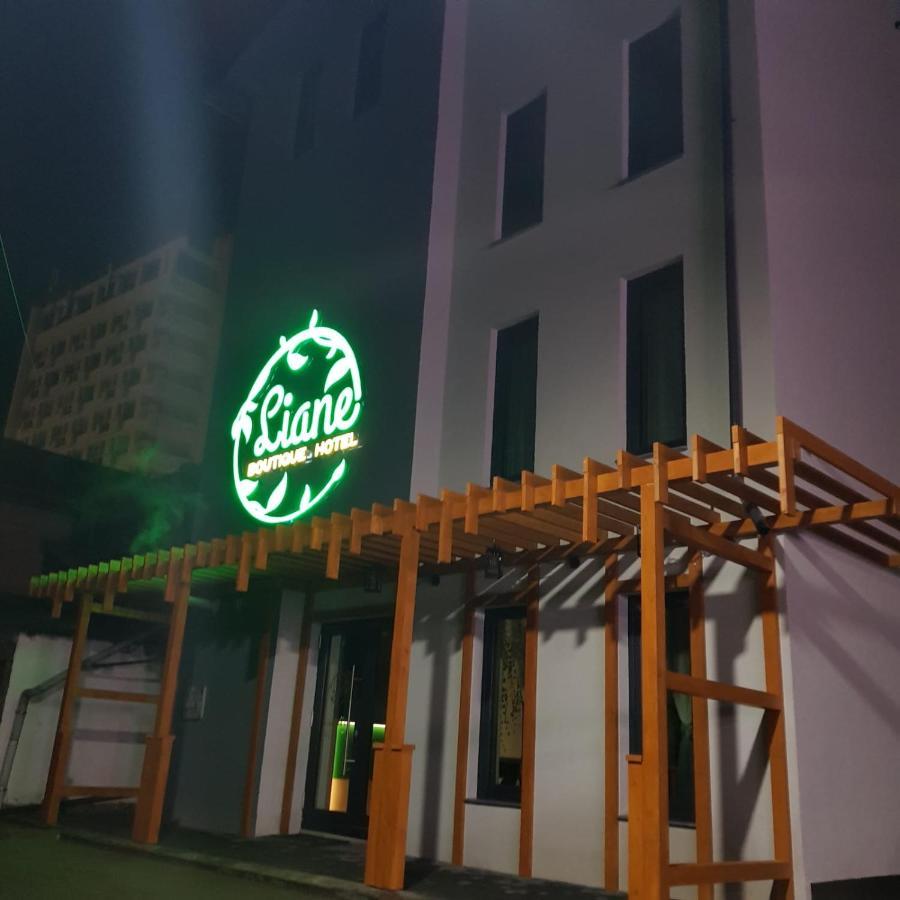 Liane Boutique Hotel Campulung Moldovenesc Bagian luar foto
